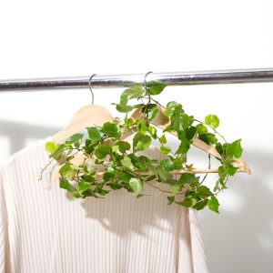 reflexão sobre consumo consciente