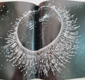 dossiê-rivieras-valentina-valcareggi