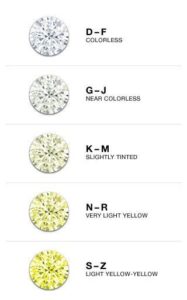 escalacor-dossiê-rivieras-valentina-valcareggi